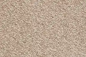 Ковролин Bonkeel Parliament Cappuccino фото  | FLOORDEALER